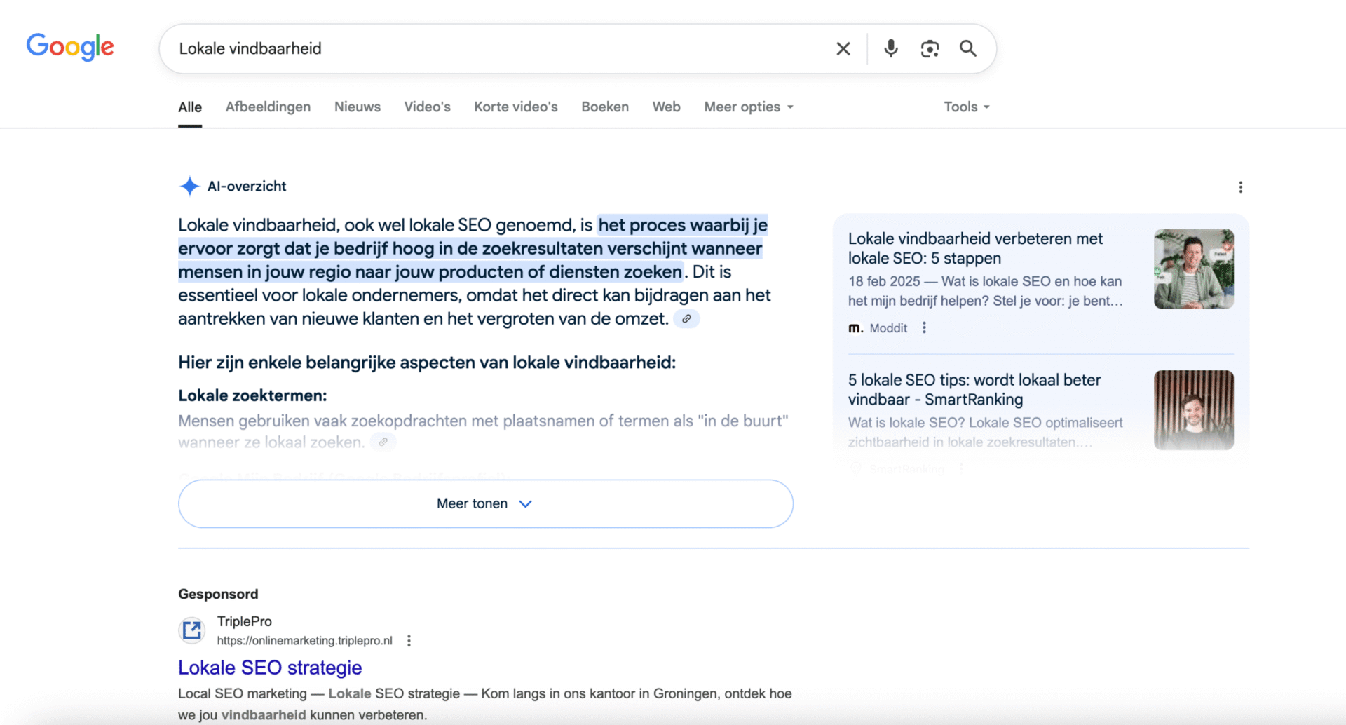 Voorbeeld Search Generative Experience