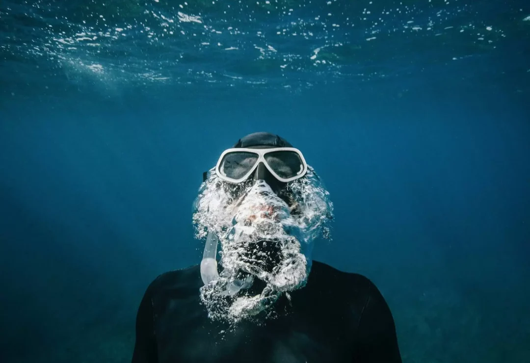lucasdivestore succesverhaal - Moddit Digital Agency