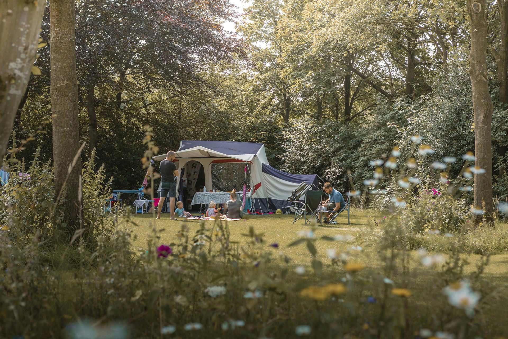 Kampeerplek tussen het groen op De Lemeler Esch